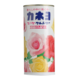 Порошок чистящий для кухни и ванны с ароматом цветов KANEYO 